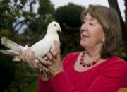 ���������ϸ��ӣ�24��Peace(ͼ)