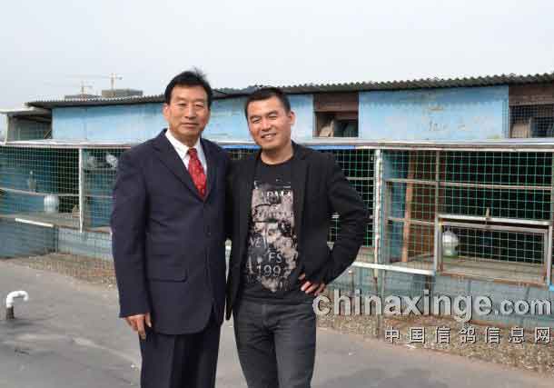 �ٷ��Ϻ���������������ڸ���(ͼ)