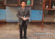 ��֣���رȻ�������������(ͼ)