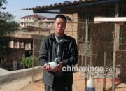 ɽ���ܴ�ũ�����ժ�����(ͼ)