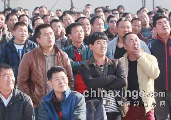 �������ǿ���530�����������ͼ