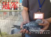 ���ݺ�����������Ǽ�������(ͼ)