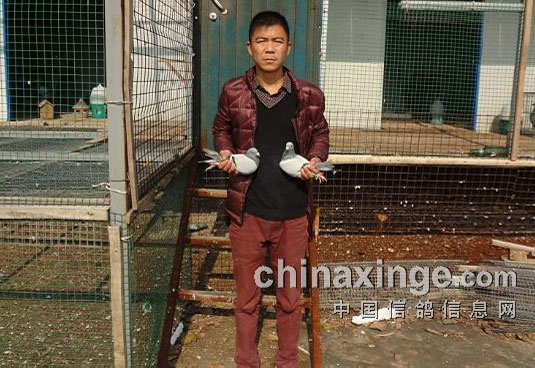 ��֣���رȴ�Ӯ��80�����(ͼ)