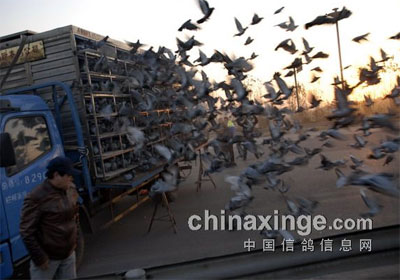 ��ɽ�캽���ʹ����＾�����ɷ�ʵ¼(ͼ)