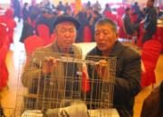 �����ݱ��̫��2013����������(ͼ)