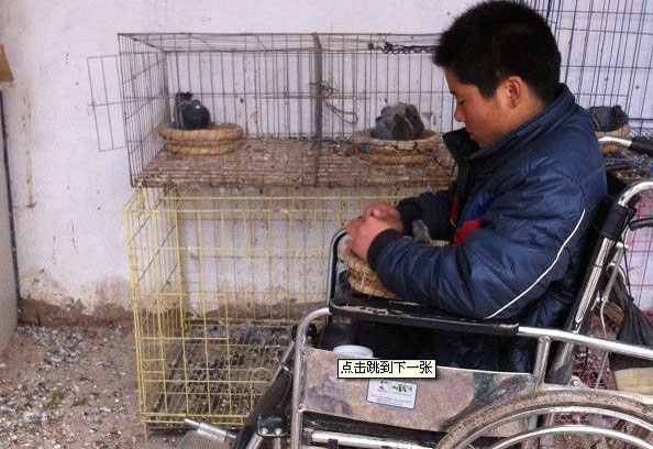 ��л��������Ķ���(ͼ)