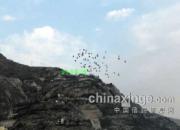 ��¤�Ͻ����빫��(ͼ)