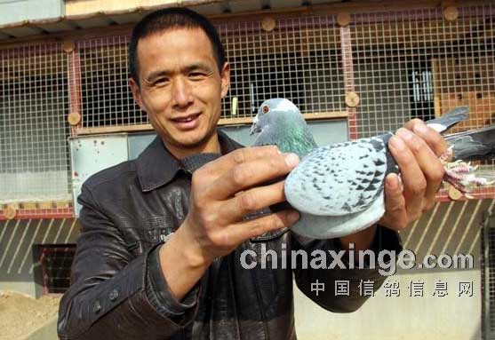 �߽���������ھ����Ǹ���(ͼ)