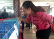 ��۽�� ��������(ͼ)