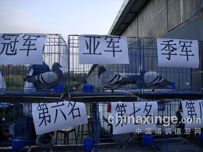 ���¹����������ȡʤ(ͼ)