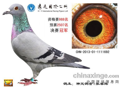 �ӱ����ݹ�������񽱸�����(ͼ)