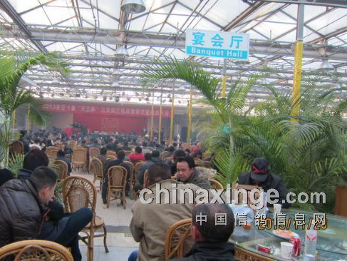 �������ǿ������������(ͼ)