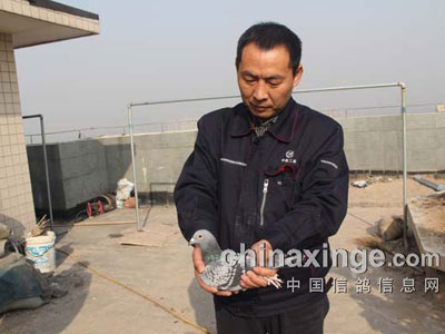 ר���������ֲ����عھ��Ŵ�(ͼ)