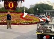 ��Ƶ�����˾����˵��Ÿ�ѵ��