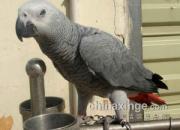 ���人�̽ǻ�����������(ͼ)