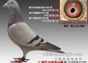 д�ڶ�ú����Ǿ�֮��(ͼ)