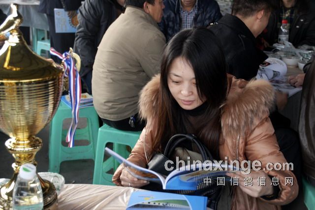 �����������빫��佱��������ͭ������(ͼ)