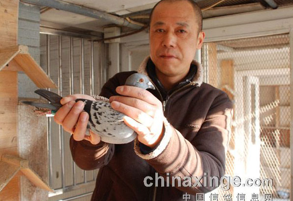 ���Ϻ��׸��ر�B���Ǿ�����(ͼ)