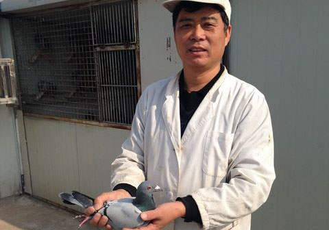 ���Ϻ���B���׸��رȹھ��˱���(ͼ)