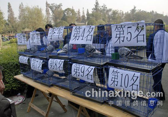 �ɶ����¹����ǿ��ǰʮ���񽱸��ֳ�չʾ(ͼ)