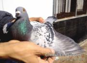 ���ݶ���400�������Ǿ���ʵ(ͼ)