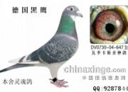 ��������Գ��ԣ�����ɼ��Ȼ(ͼ)