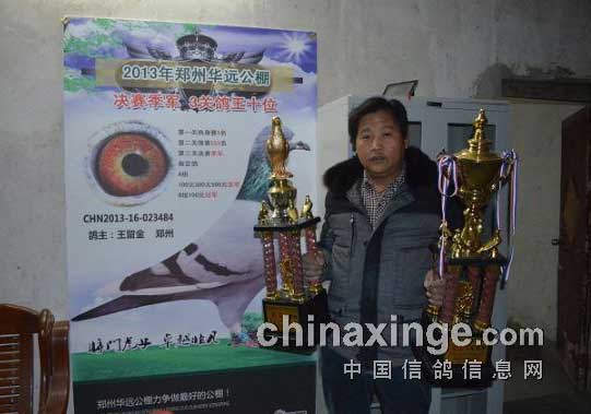 �ݸ����Ѷṫ�＾�����ǡ���������������(ͼ)