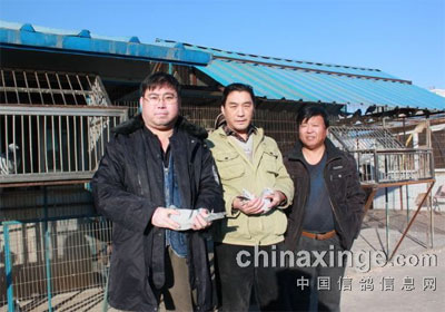 ���������7����Ф�����ֵ�ָ�����ֶ�ý�