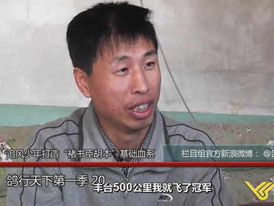 �������µ�20�ڣ���ʵ���������鳼