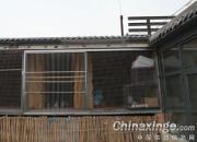 ��ʱ���������ս���(ͼ)