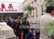 �������������ҹ�����͸�(ͼ)