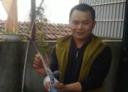 �ݷ�������н���ֽ��׾�(ͼ)