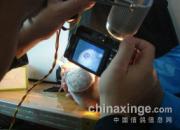 ������Ӱ��������(ͼ)