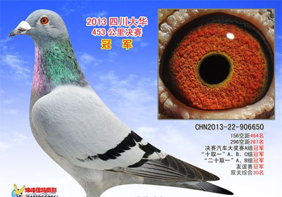 �Ĵ��󻪹�������񽱸�����(ͼ)