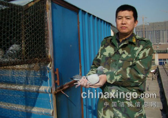 ���Կຮ����������ΰ������(ͼ)