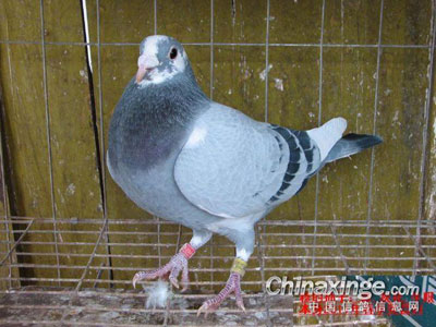 СĽ���ų�����