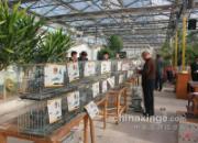 ��ŷ�ض����������������(ͼ)