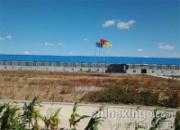 ����������������ľ�����(ͼ)