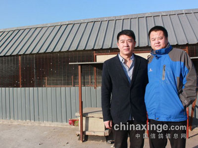 �����طɣ�������ʤ�����Ļ���(ͼ)