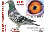 ����ʮ�������400����鳲(ͼ)