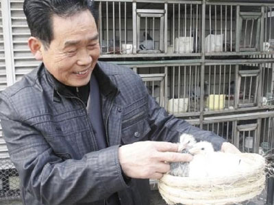 ��Ѯ���ѣ����������й鳲��