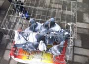 ��ĩ����У����ؾ���������(ͼ)