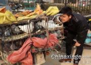 ���������Ͻָ��д��(ͼ)