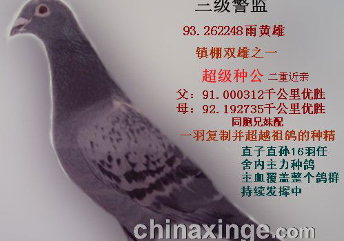 ���������ָ룿(ͼ)