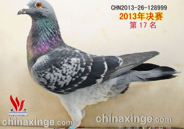 ��������ũ��17�����ĳ�30��(ͼ)