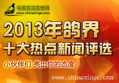 2013����ʮ��������ѡ���ڽ�����
