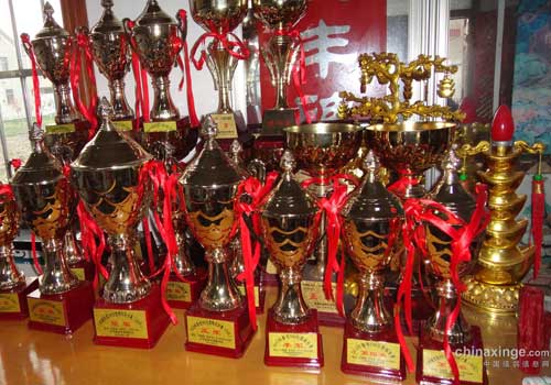 ɹɹ13��Ľ���(ͼ)