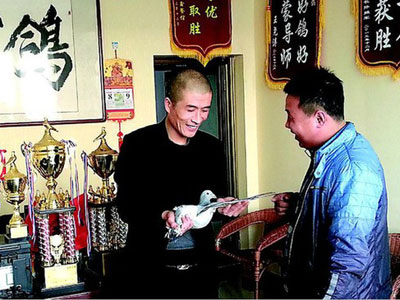 �����������������벻����(ͼ)