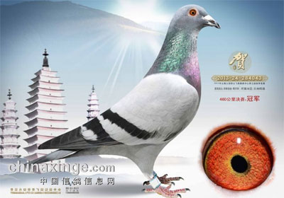 ���ź���߹鳲�����Ʒ������ǰʮ��(ͼ)