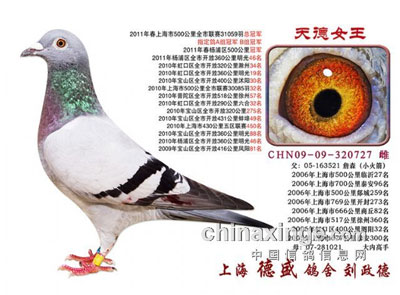 ���ۿվ����˵�������(ͼ��)